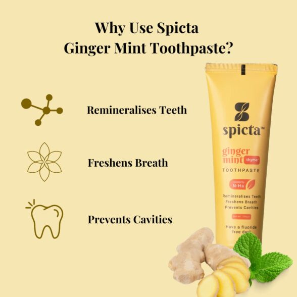 Spicta Ginger Mint Toothpaste 100 gm - Image 6